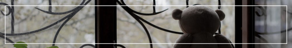 teddy looking out the window